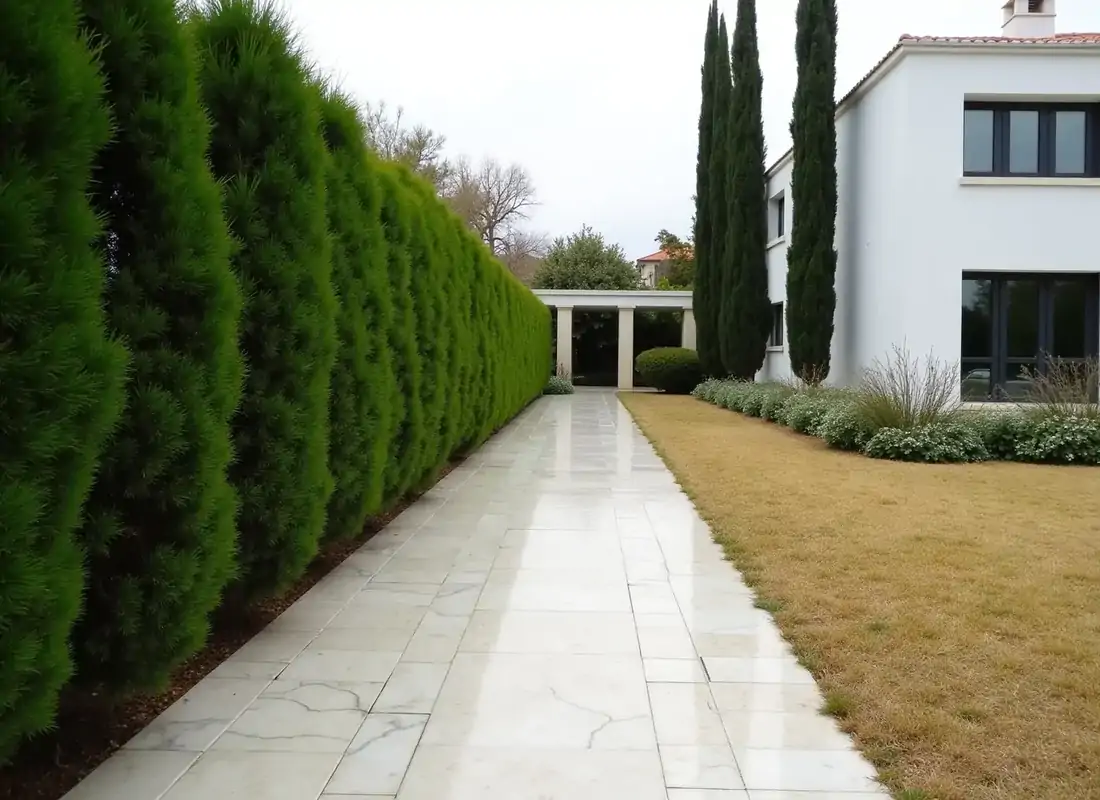 Κήπος βίλας στο Ψυχικό πριν, με ακλάδευτο φράχτη χωρίς γραμμή και γκαζόν με ξερά σημεία