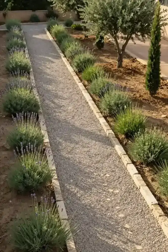 Ολοκληρωμένος κήπος με φυτά χαμηλών απαιτήσεων σε νερό και χαλικώδη διάδρομο